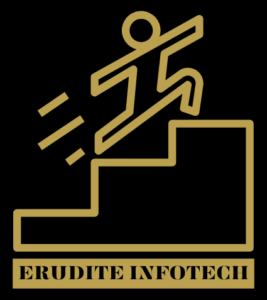 success-erudite-infotech-logo